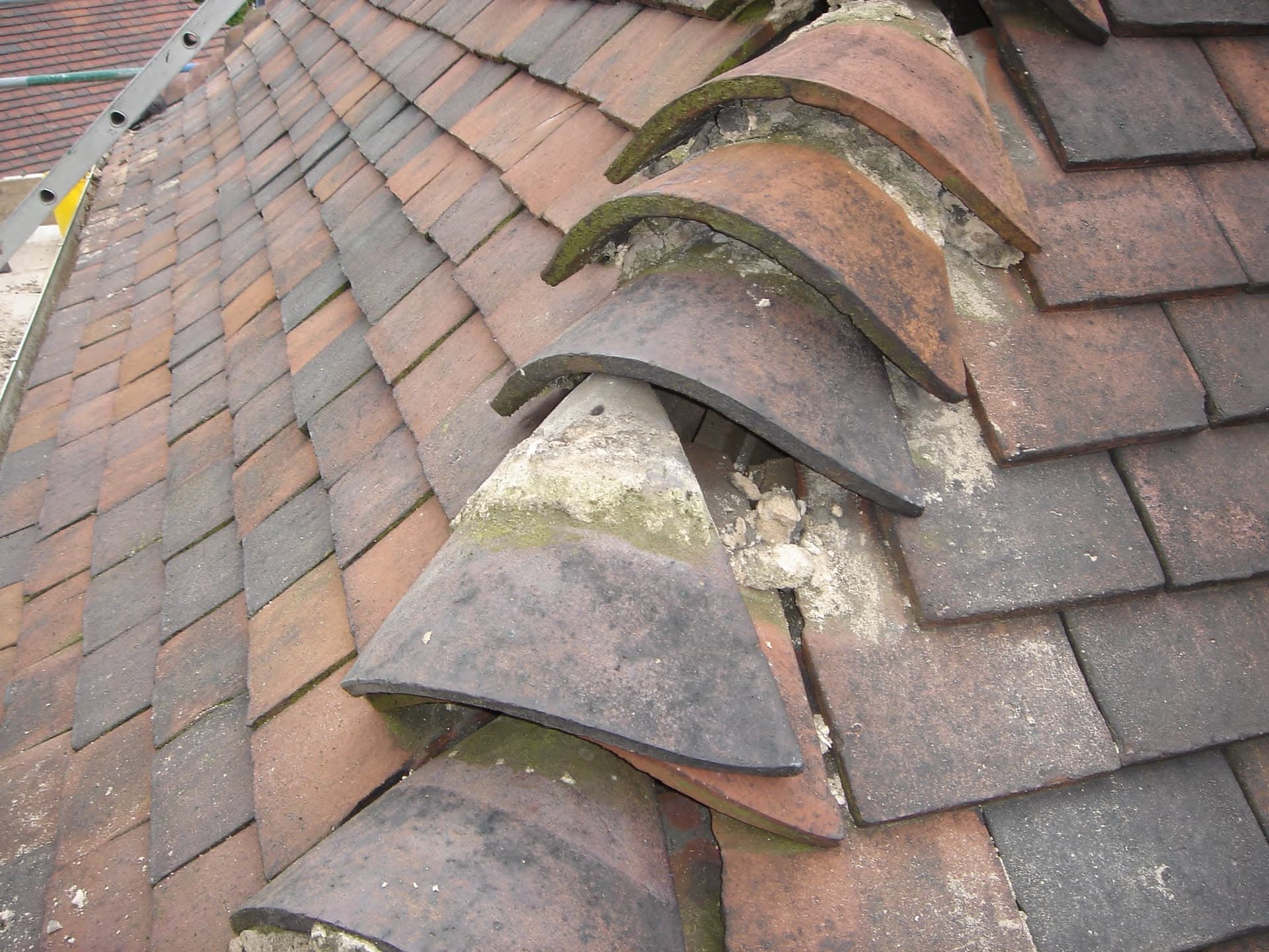 Weathered pitched roof with terracotta and grey concrete tiles showing moss growth on ridge tiles