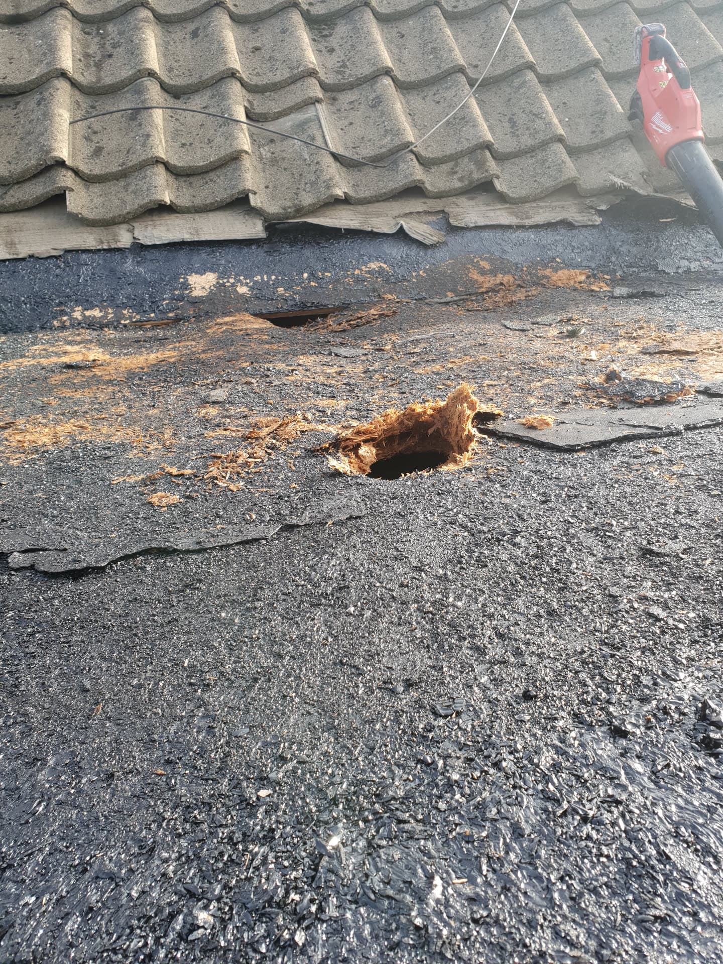 Damaged flat roof with hole and deteriorated felt surface next to concrete tiled pitched roof