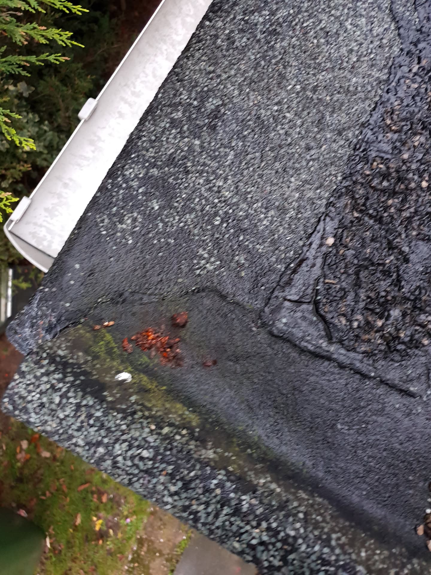Pitched roof with dark grey slate and white fascia board