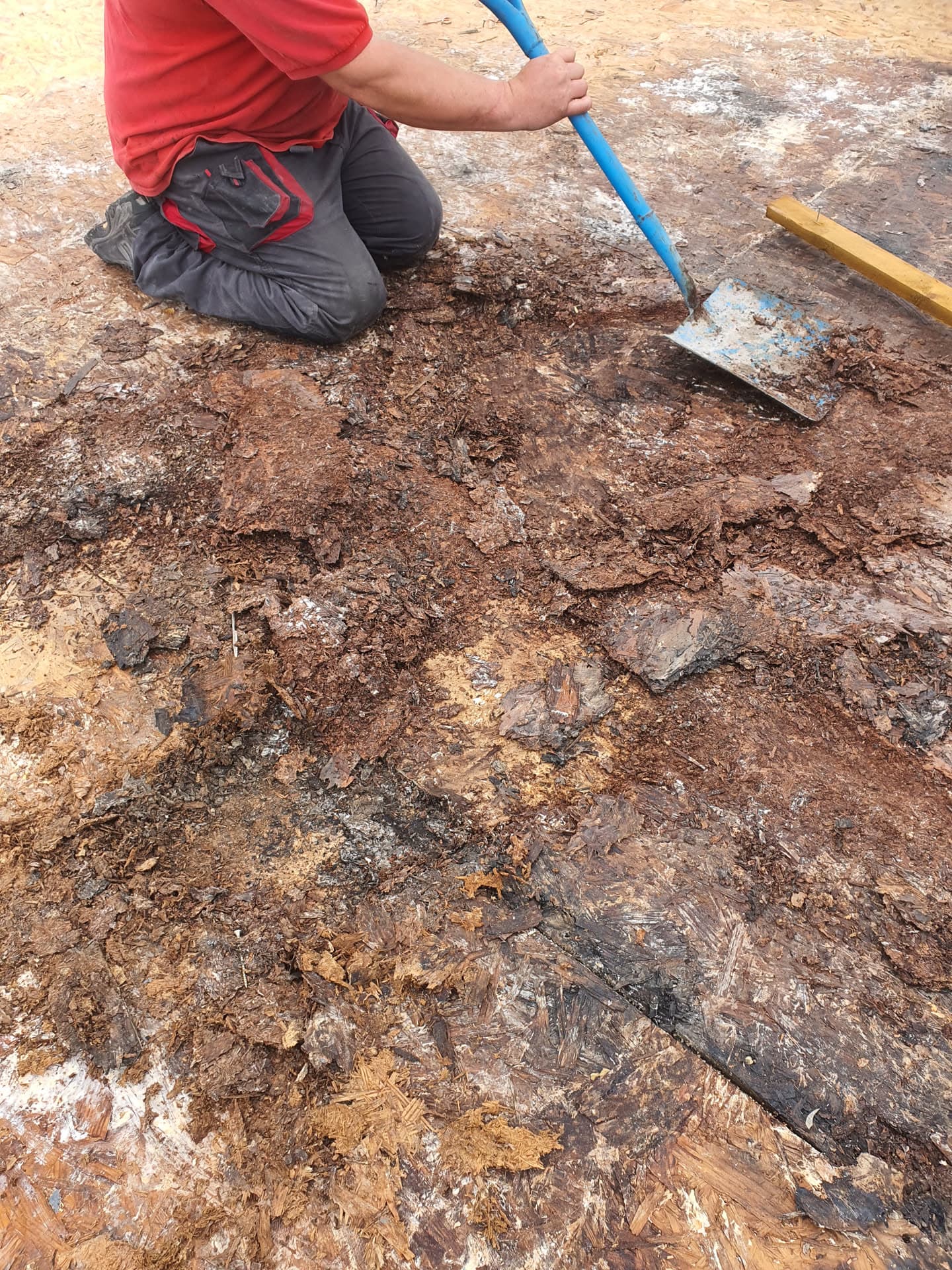 Roofer removing deteriorated felt and debris from flat roof surface