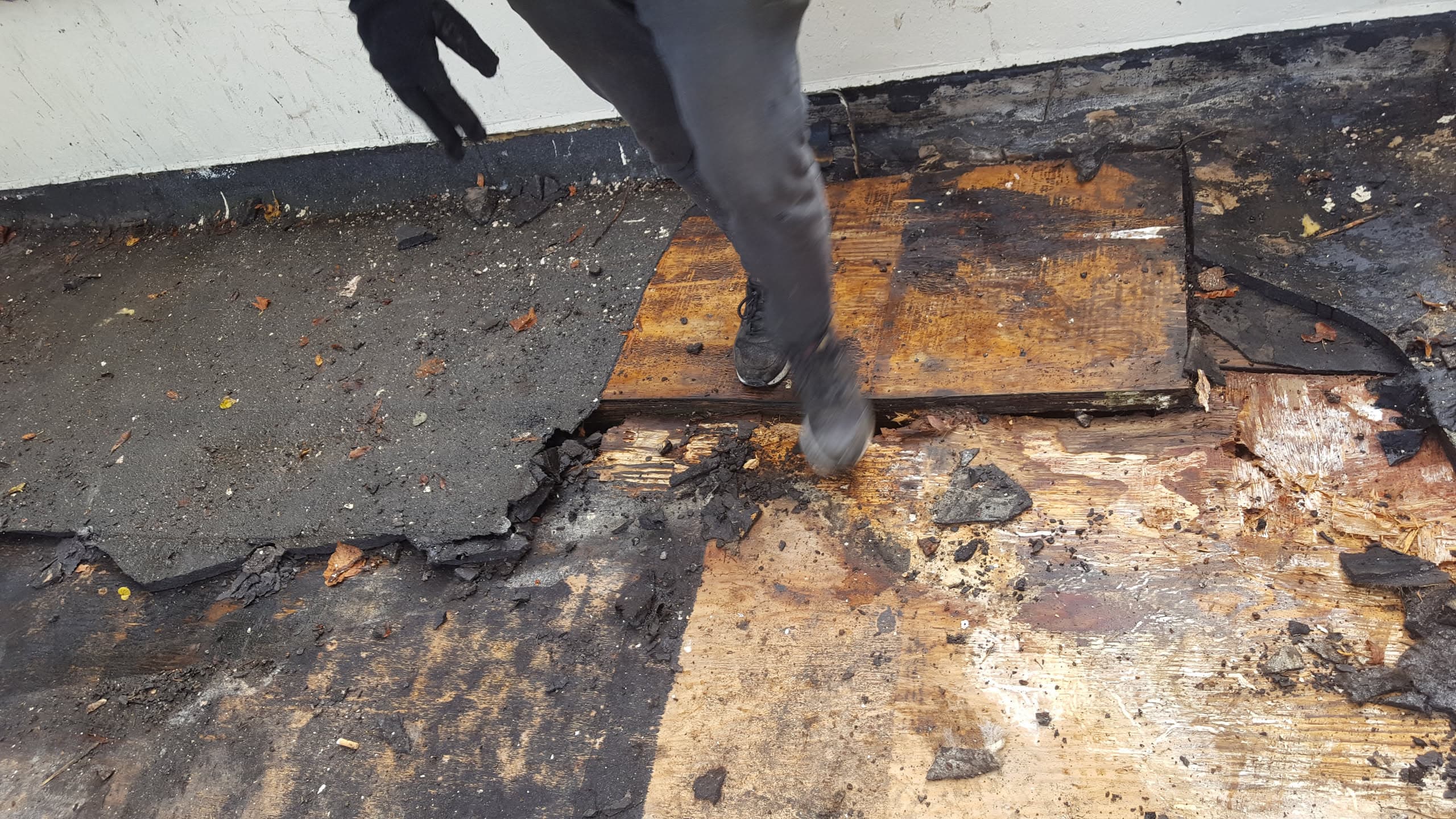 Fitter removing damaged felt from flat roof revealing deteriorated timber decking