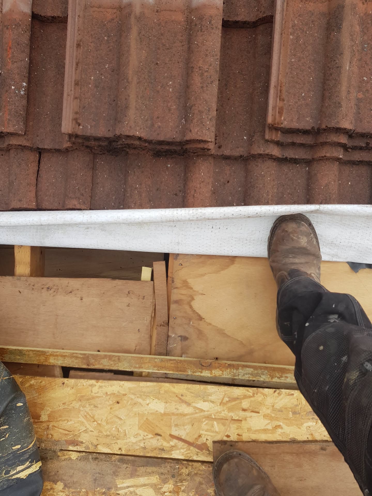 Roofer's boots on new timber decking beneath brown concrete tiled roof with white fascia board