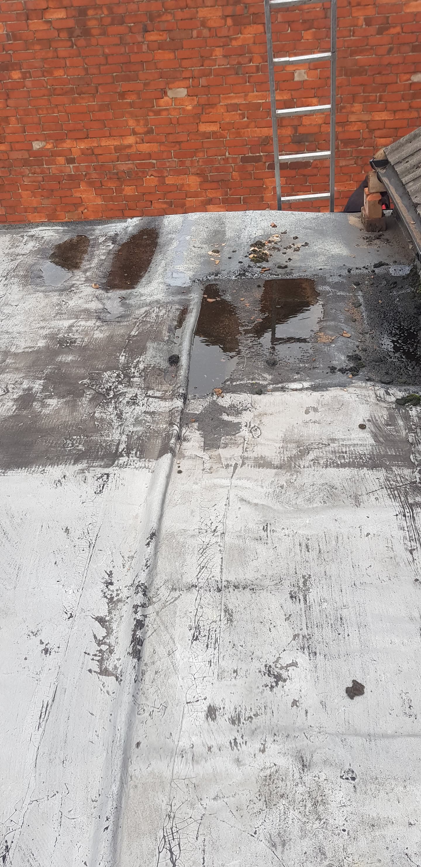Flat roof with grey waterproof coating showing water pooling and ladder against brick wall