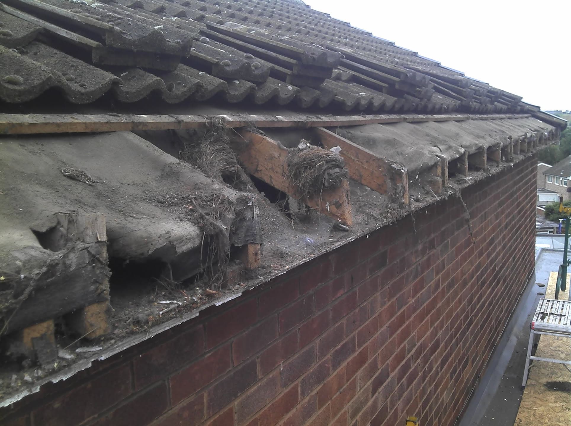 Damaged fascia boards and guttering with debris buildup on pitched concrete tiled roof
