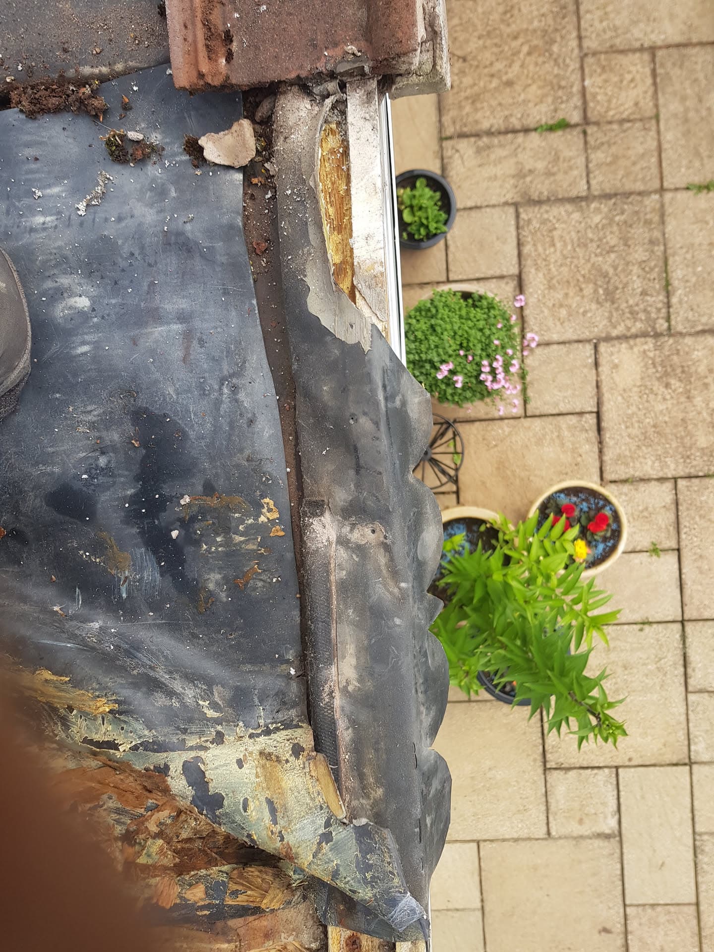 Damaged flat roof with deteriorating felt and exposed timber edging