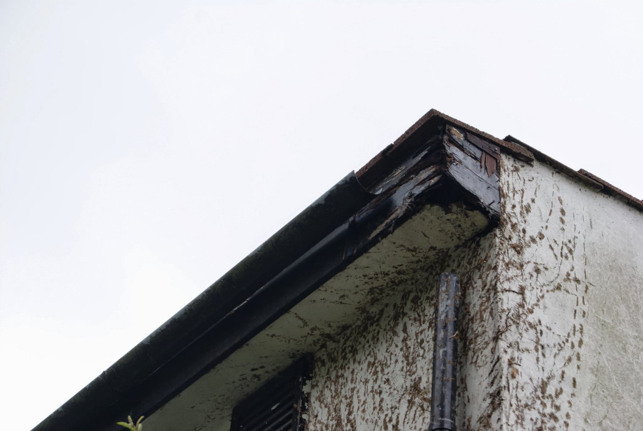 Weathered fascia boards and soffits showing deterioration and staining on pitched roof edge