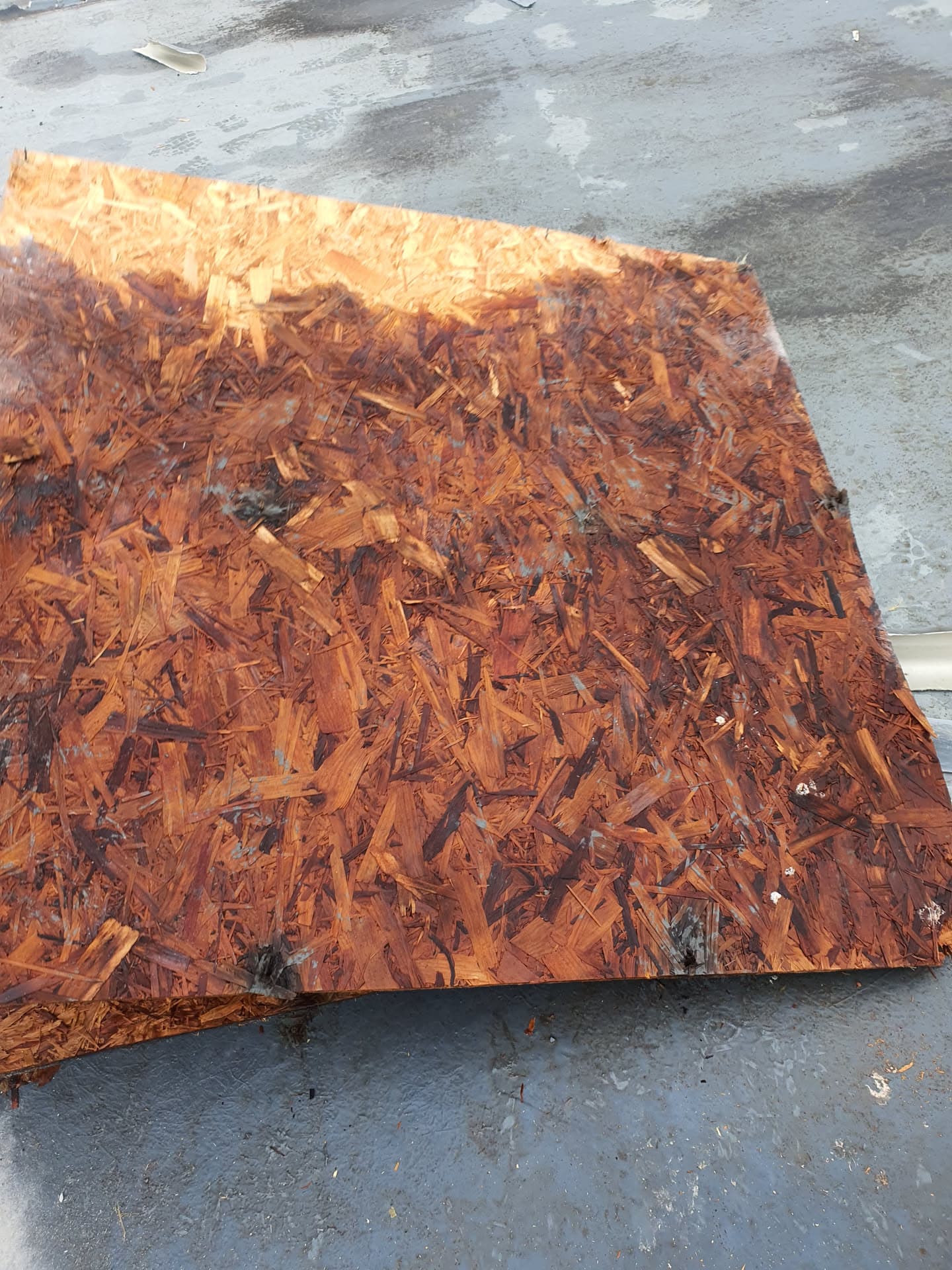 OSB board on flat roof surface showing water damage and deterioration
