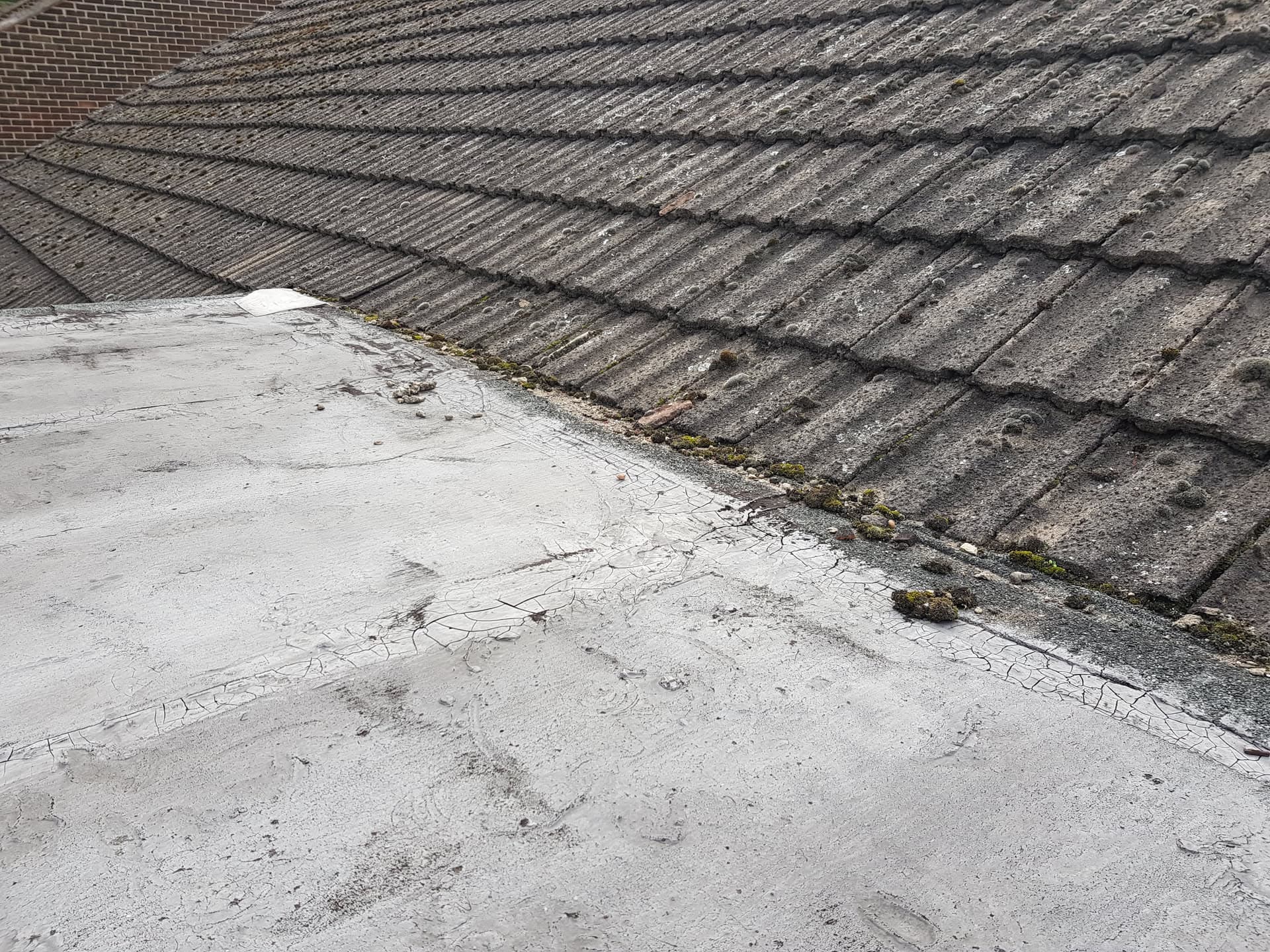 Flat roof with cracked surface meeting pitched concrete tiled roof with moss growth