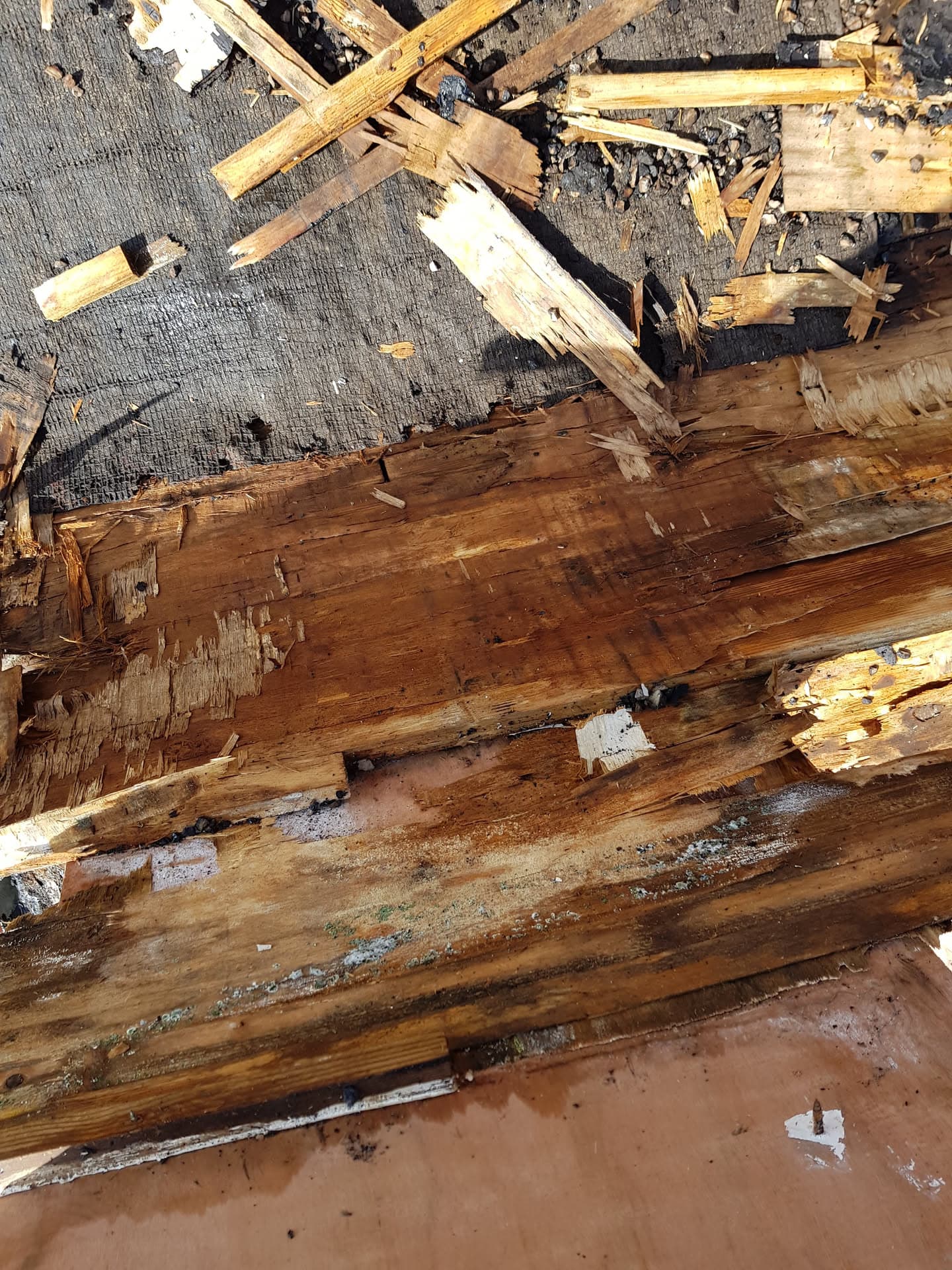 Severely rotten and damaged timber roof structure with exposed felt underlay requiring replacement