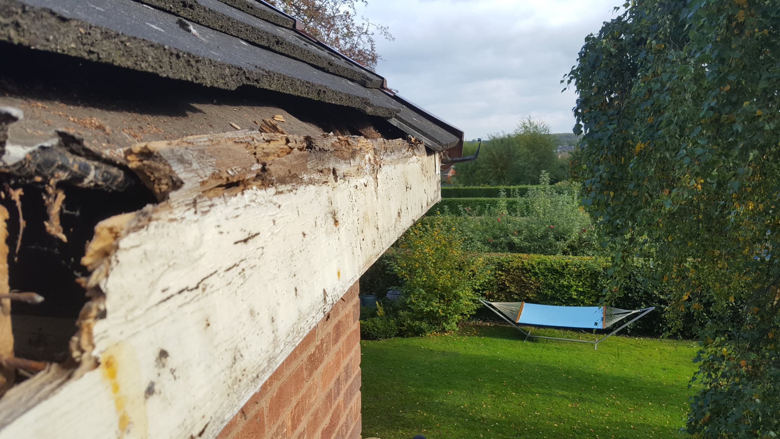 Severely damaged and rotted white fascia board showing water damage and decay