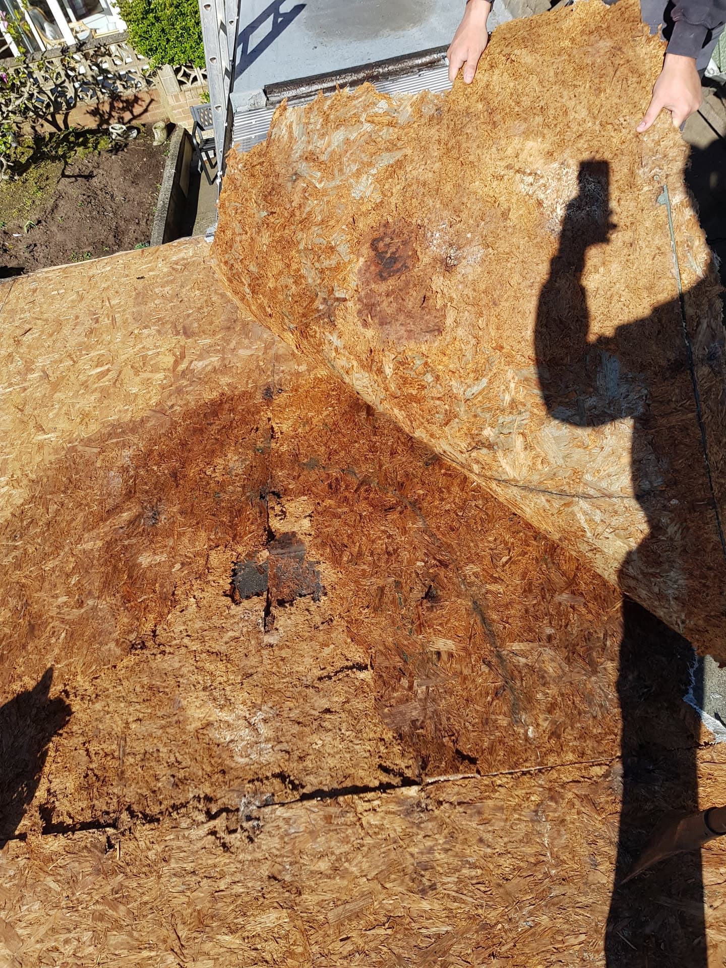 Fitter installing OSB boarding on flat roof deck with visible water damage