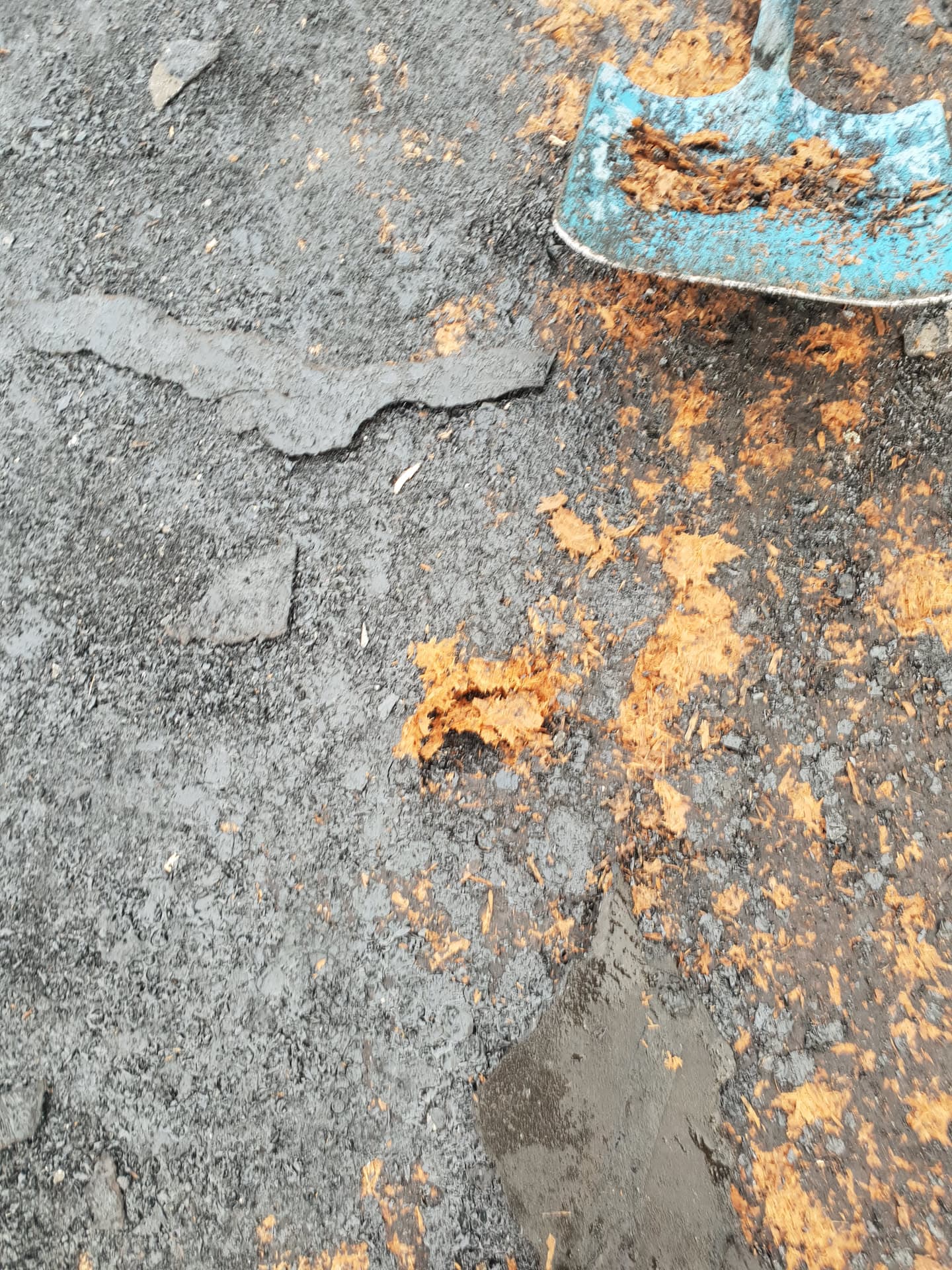 Damaged and deteriorating flat roof felt showing cracks and exposed surface
