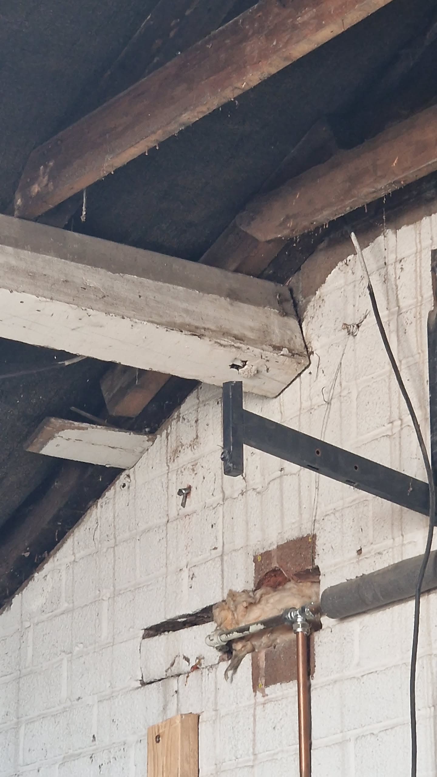 Interior view of pitched roof structure with exposed timber rafters and dark felt underlay