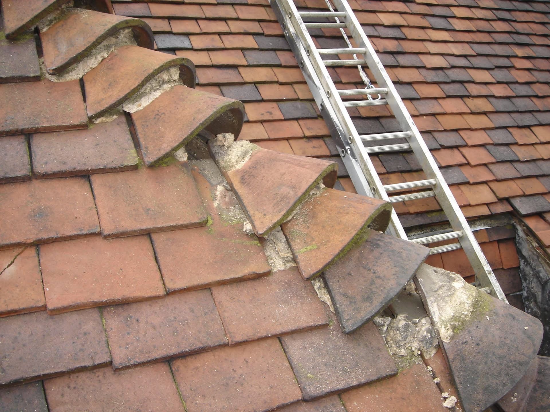 Damaged clay tiled pitched roof with displaced tiles and aluminium ladder