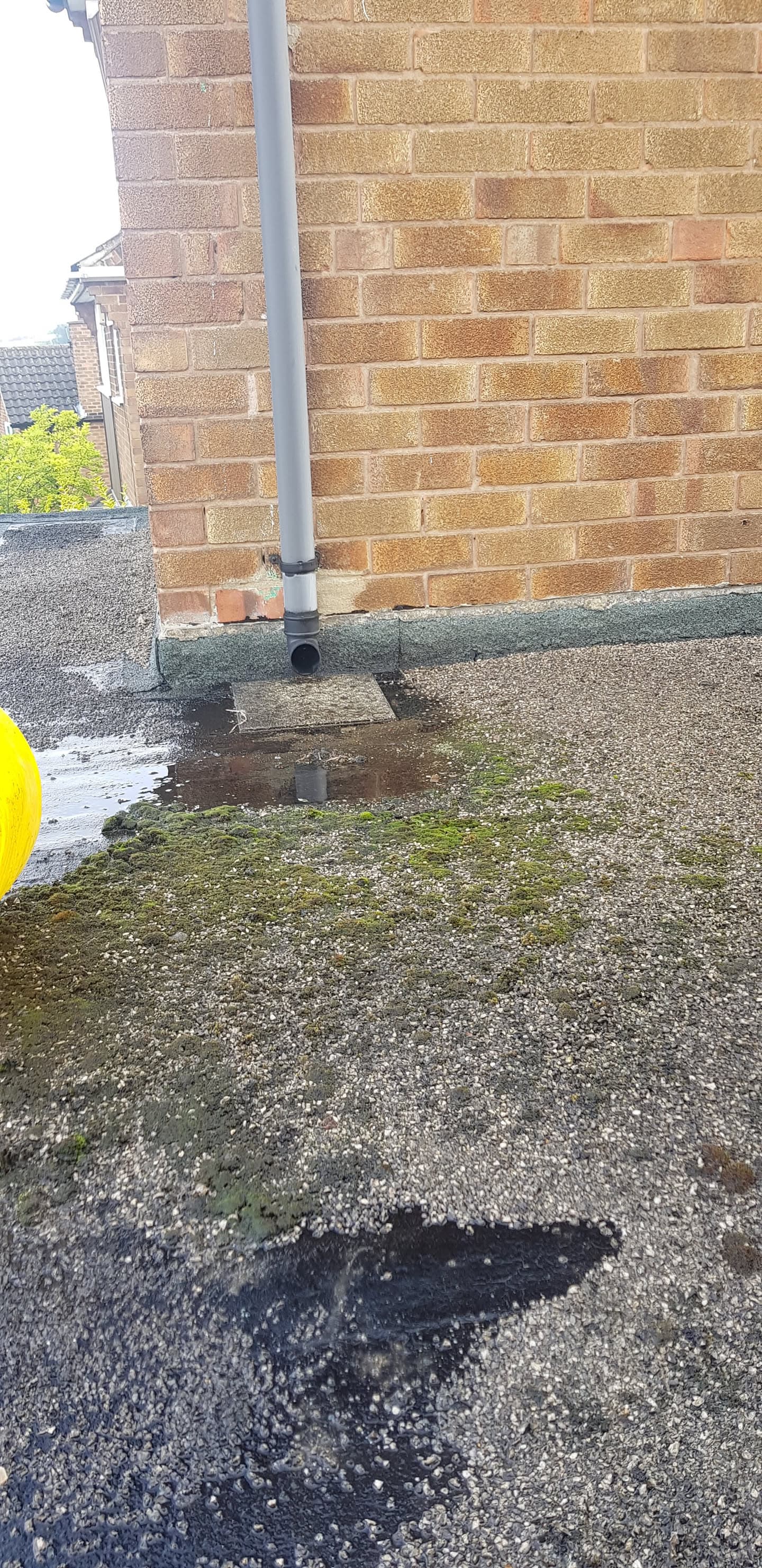 Flat roof with moss growth, water pooling and deteriorated felt surface requiring repair