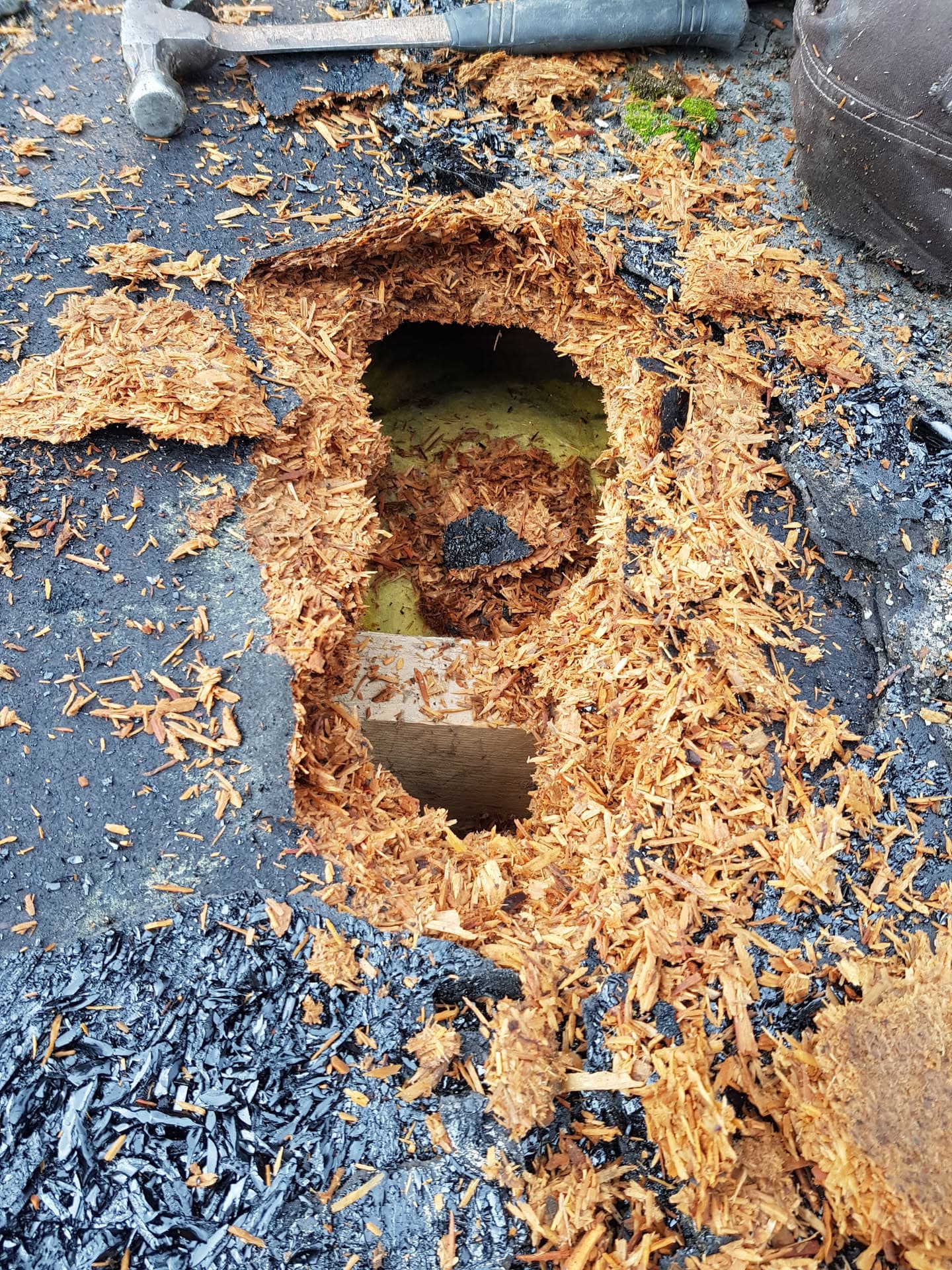 Damaged flat roof showing deteriorated felt with exposed timber decking and debris