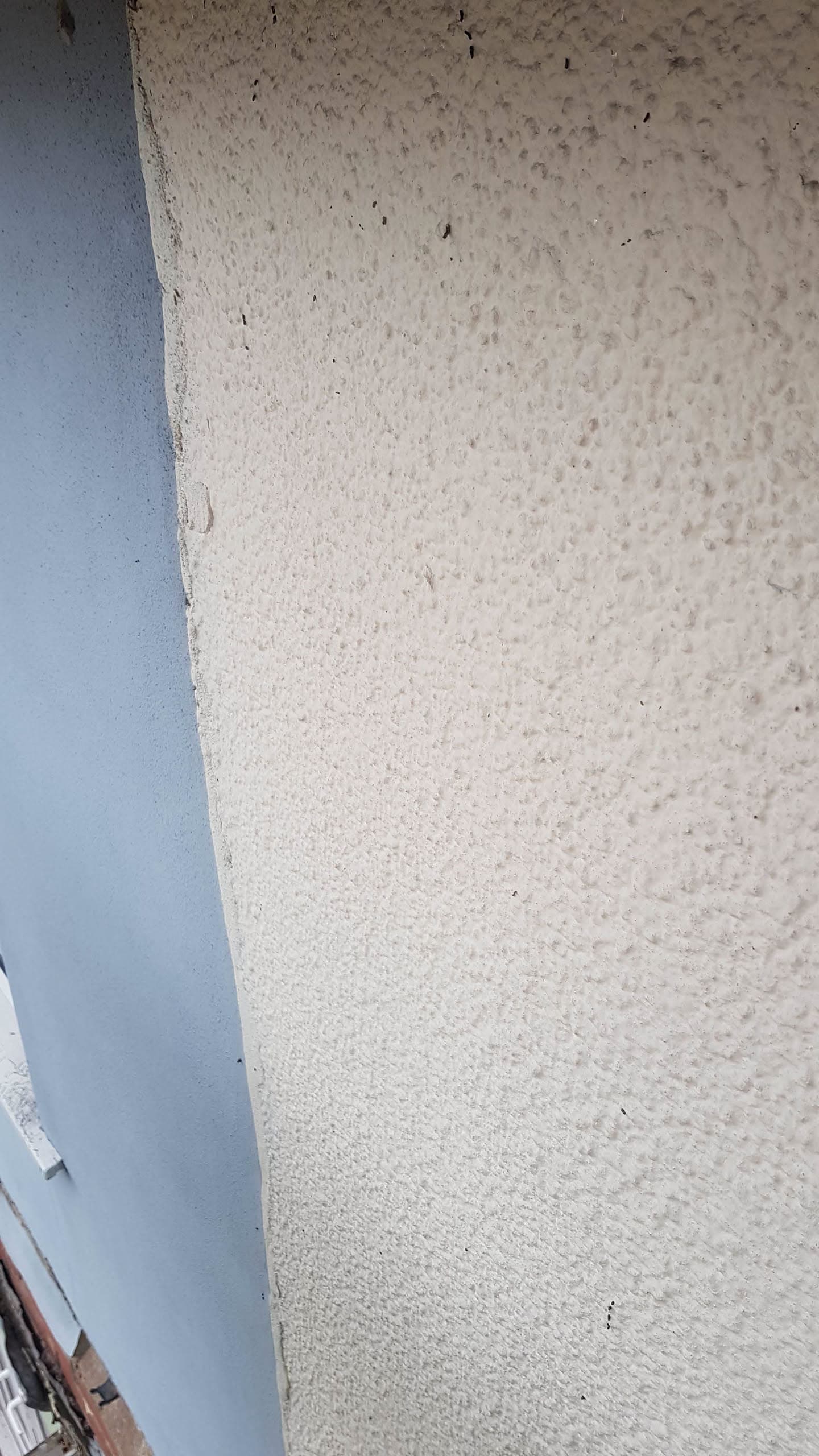 White painted fascia board and soffit detail