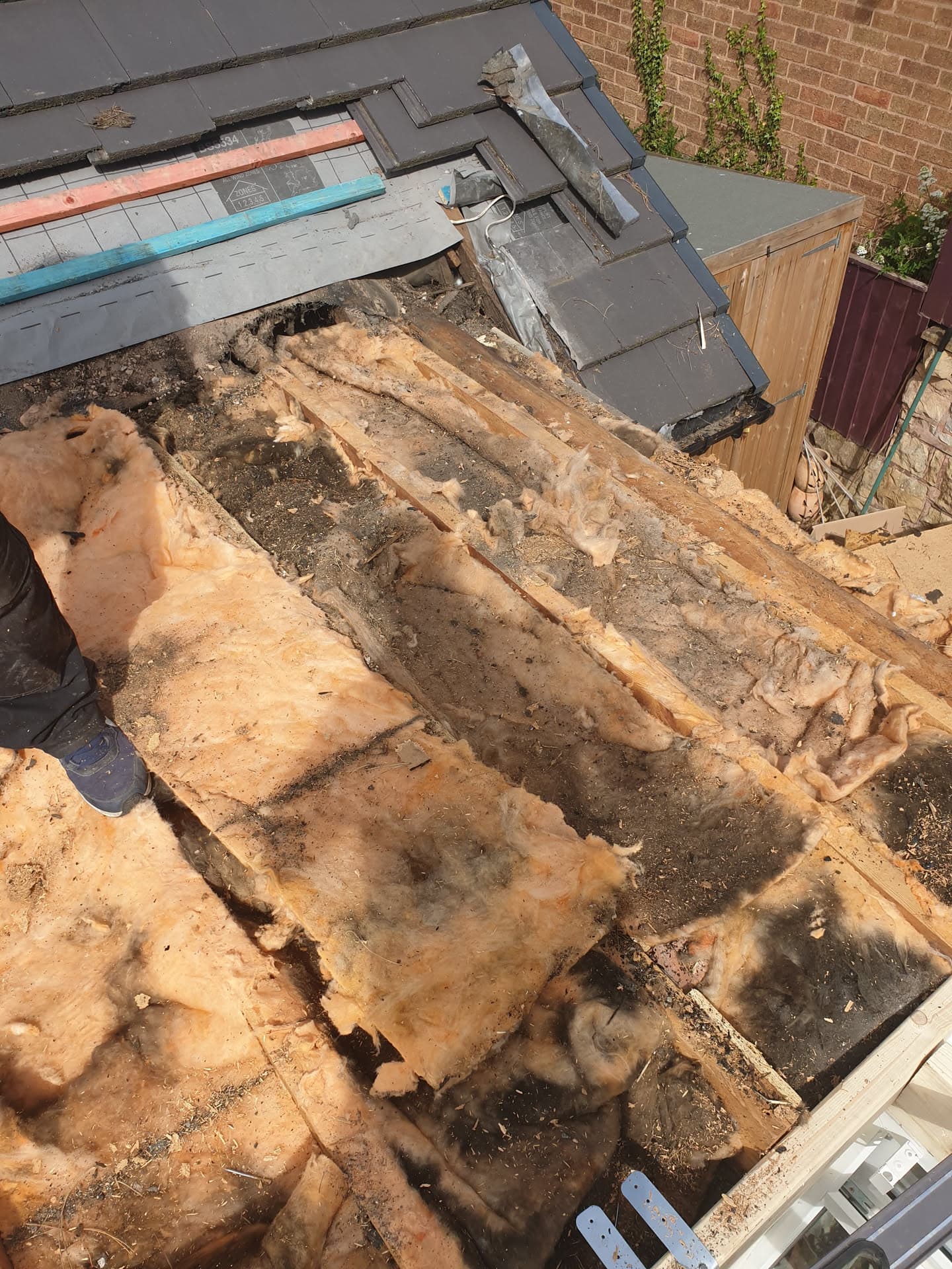 Flat roof stripped back to timber joists exposing deteriorated decking during replacement work