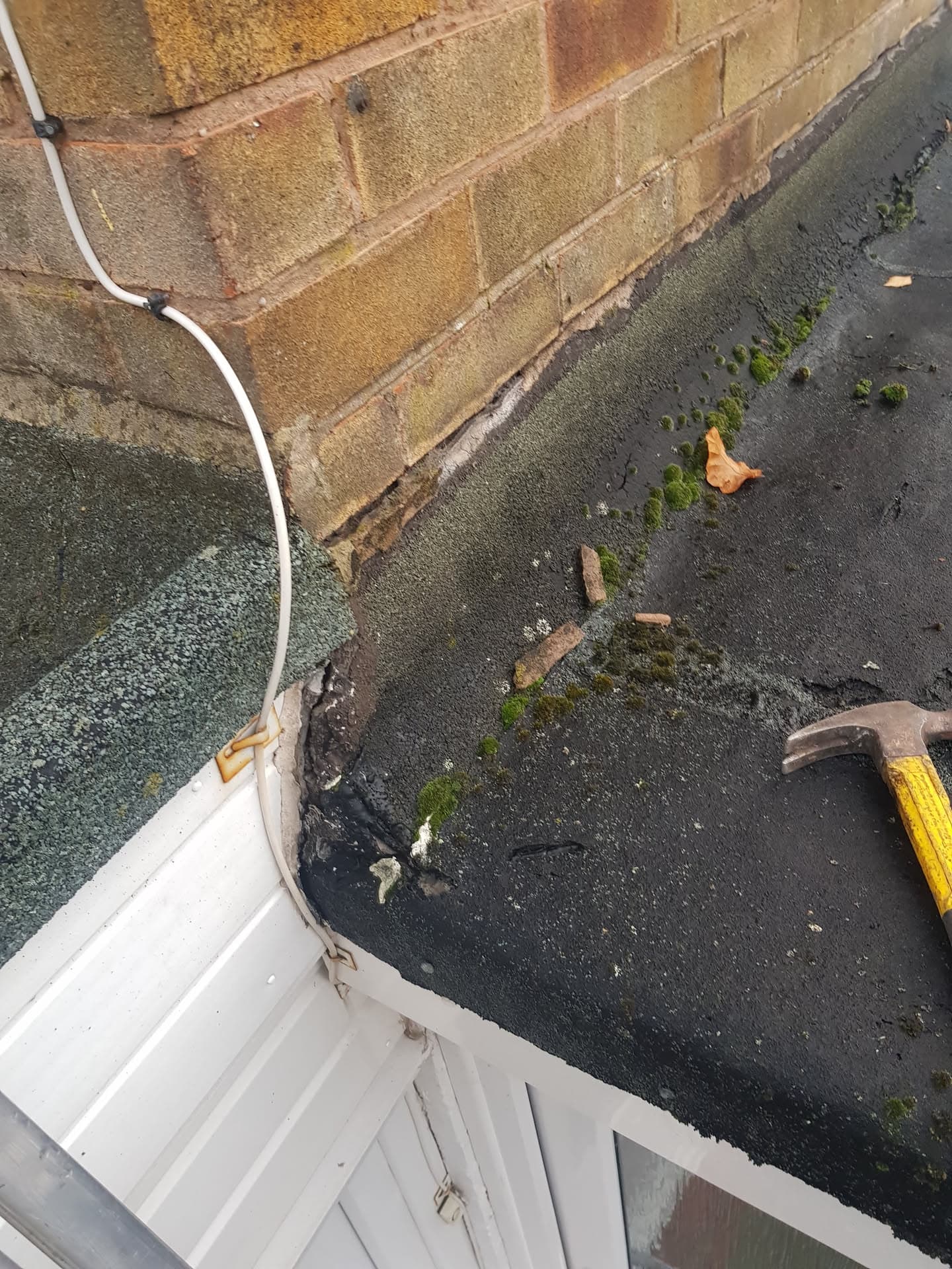 Flat roof with moss growth and debris next to brick wall and white fascia