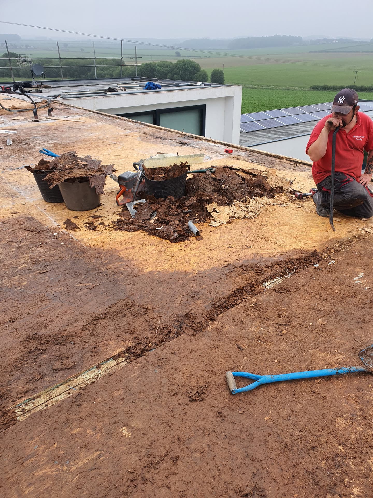 Fitter removing old insulation and decking from flat roof during renovation work