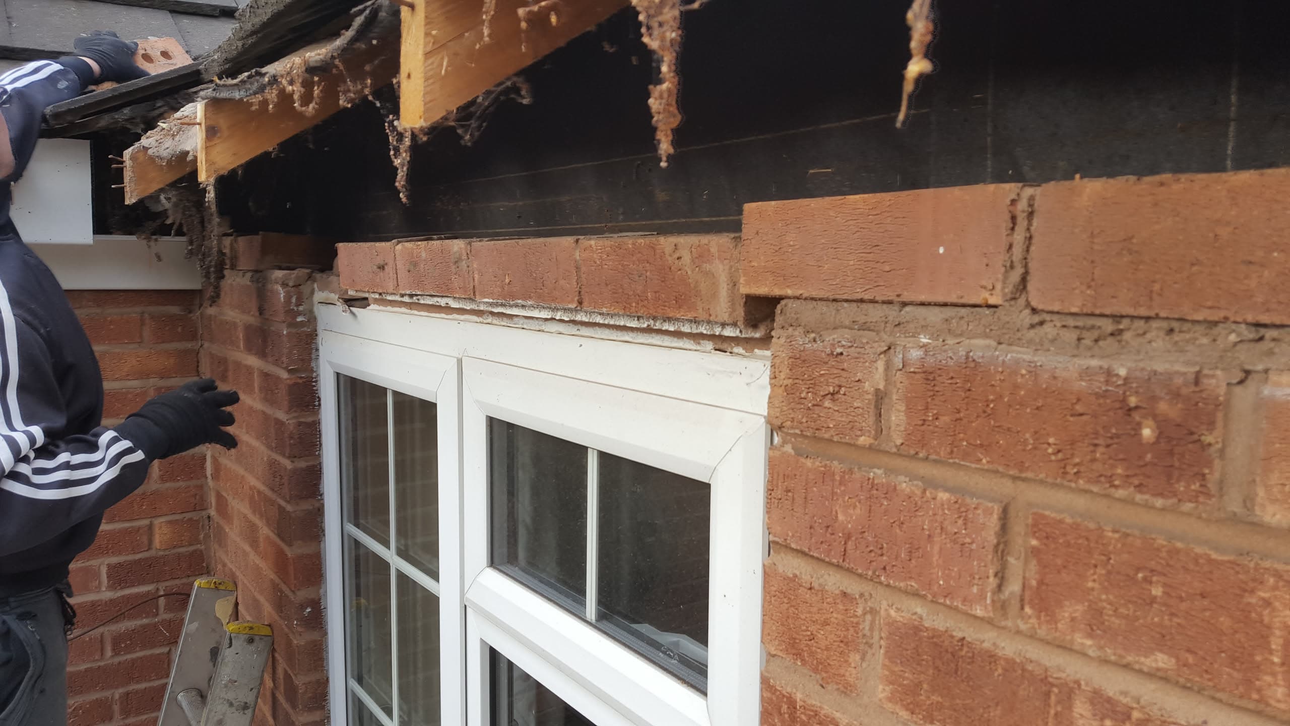 Exposed roof timbers and felt underlay above brick wall during fascia and soffit repair work