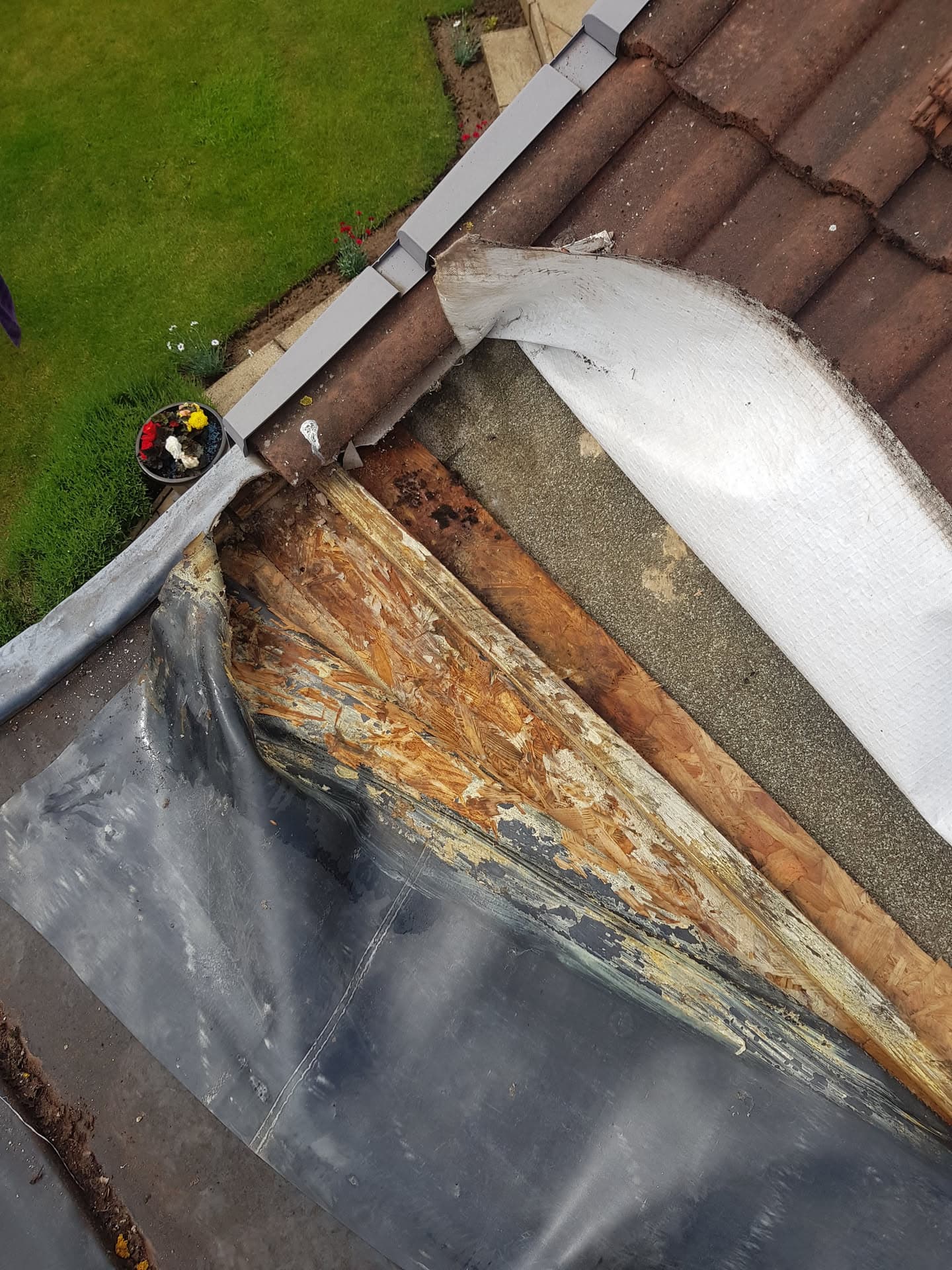 Pitched roof with brown concrete tiles showing exposed fascia boards requiring repair work