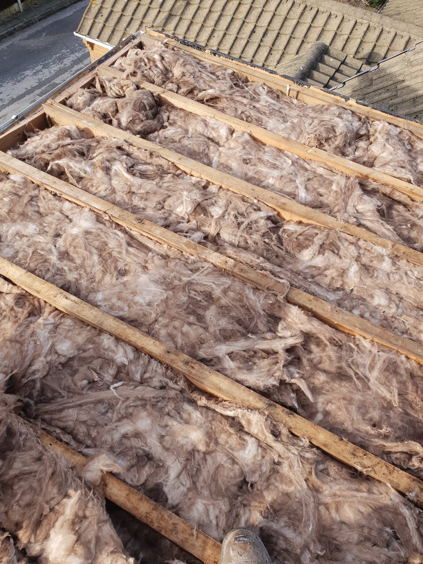Exposed roof rafters with insulation between joists, tiled roof visible in background