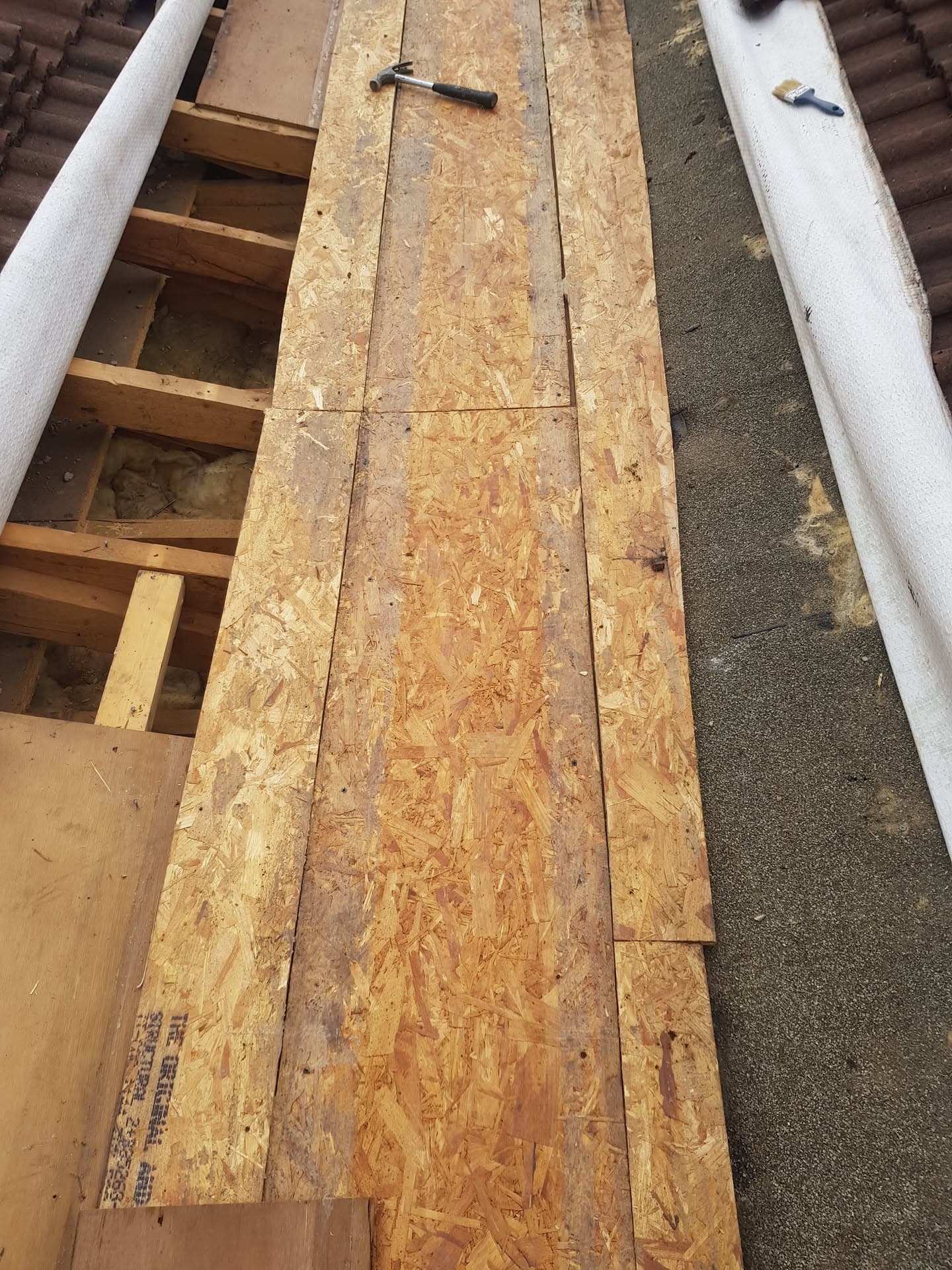 Flat roof construction showing OSB decking boards laid over timber joists with felt roofing visible