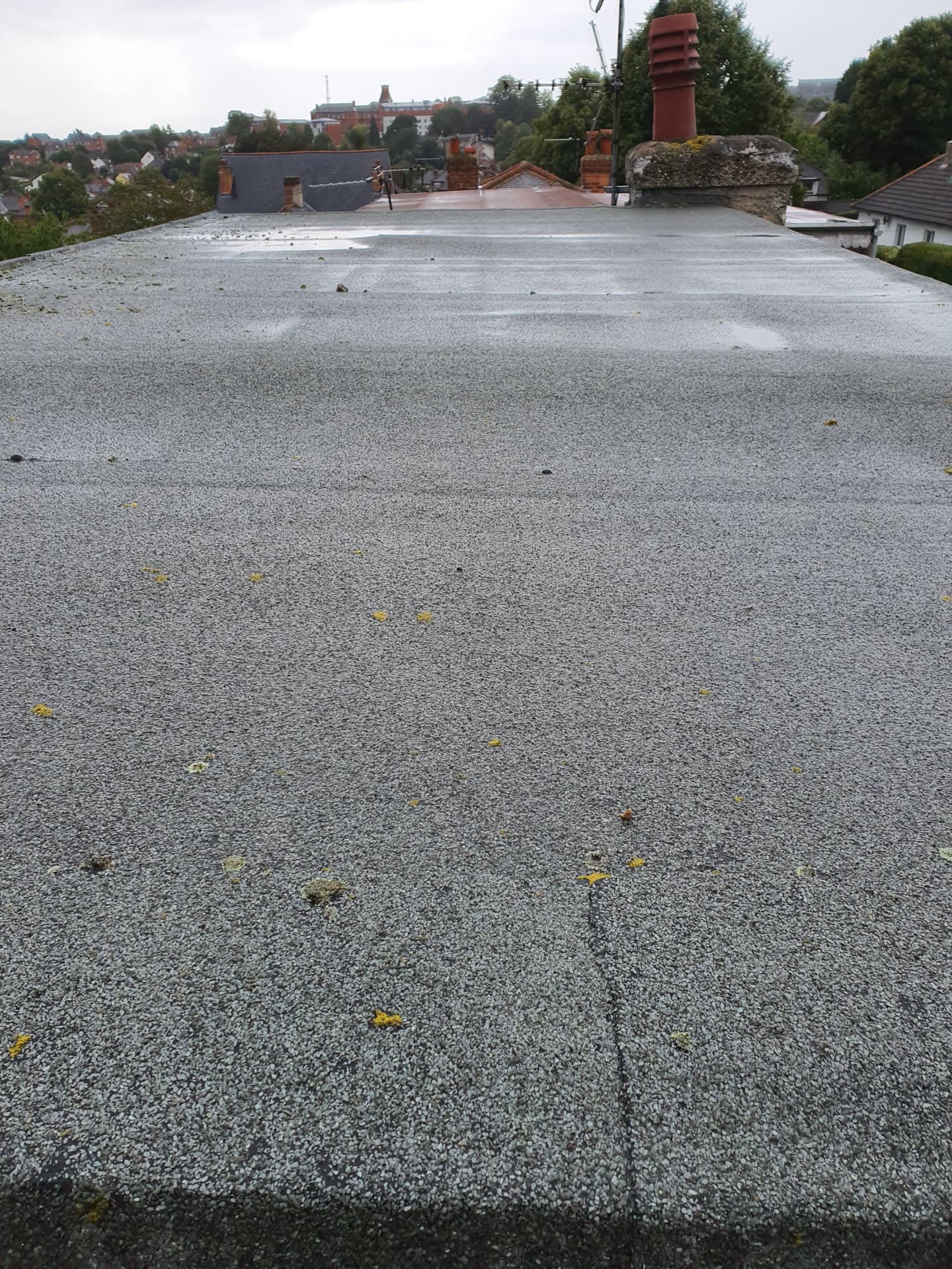 Grey felt flat roof with visible chimney stacks overlooking residential area