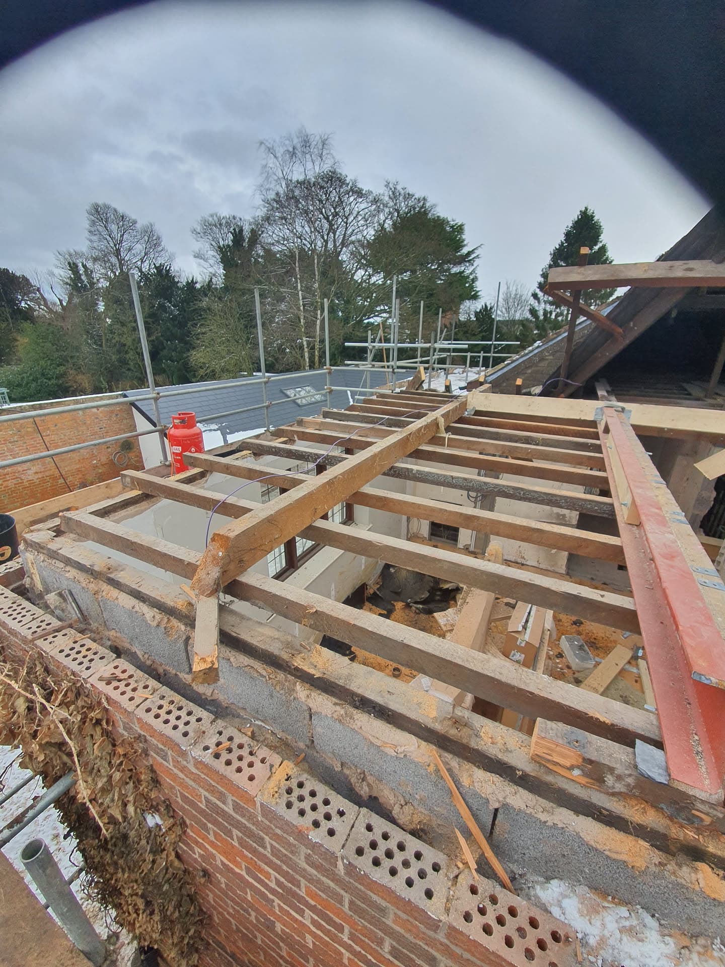 Exposed timber roof joists during flat roof replacement with scaffolding visible in background