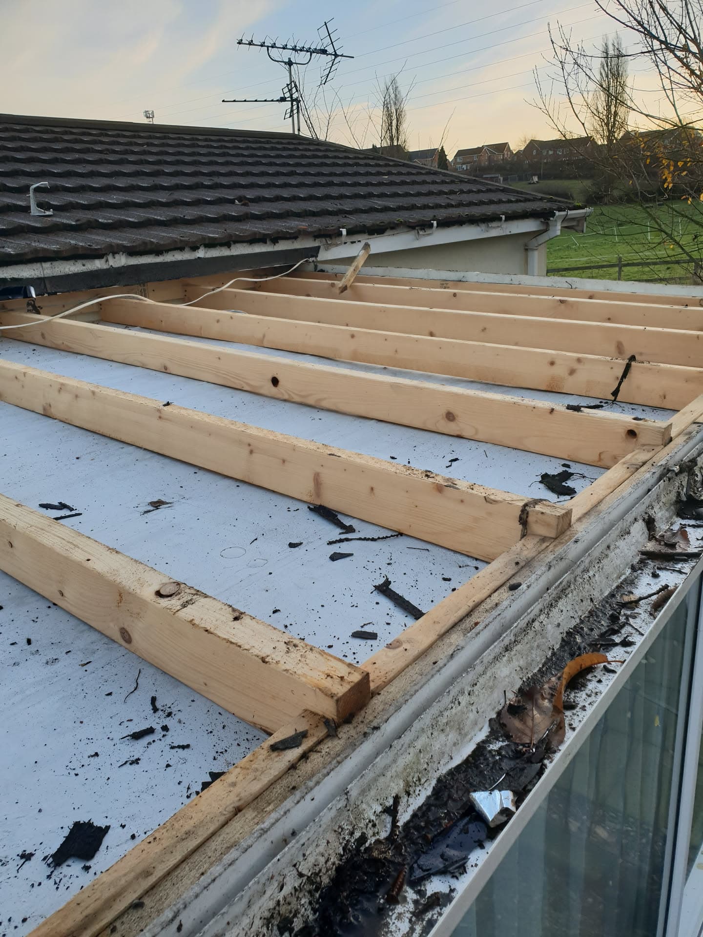 Flat roof renovation in progress with new timber joists installed over existing felt surface